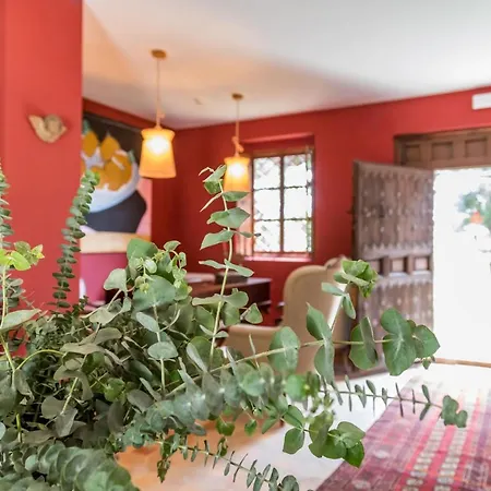 Bed & Breakfast Alqueria Calatrava 4*